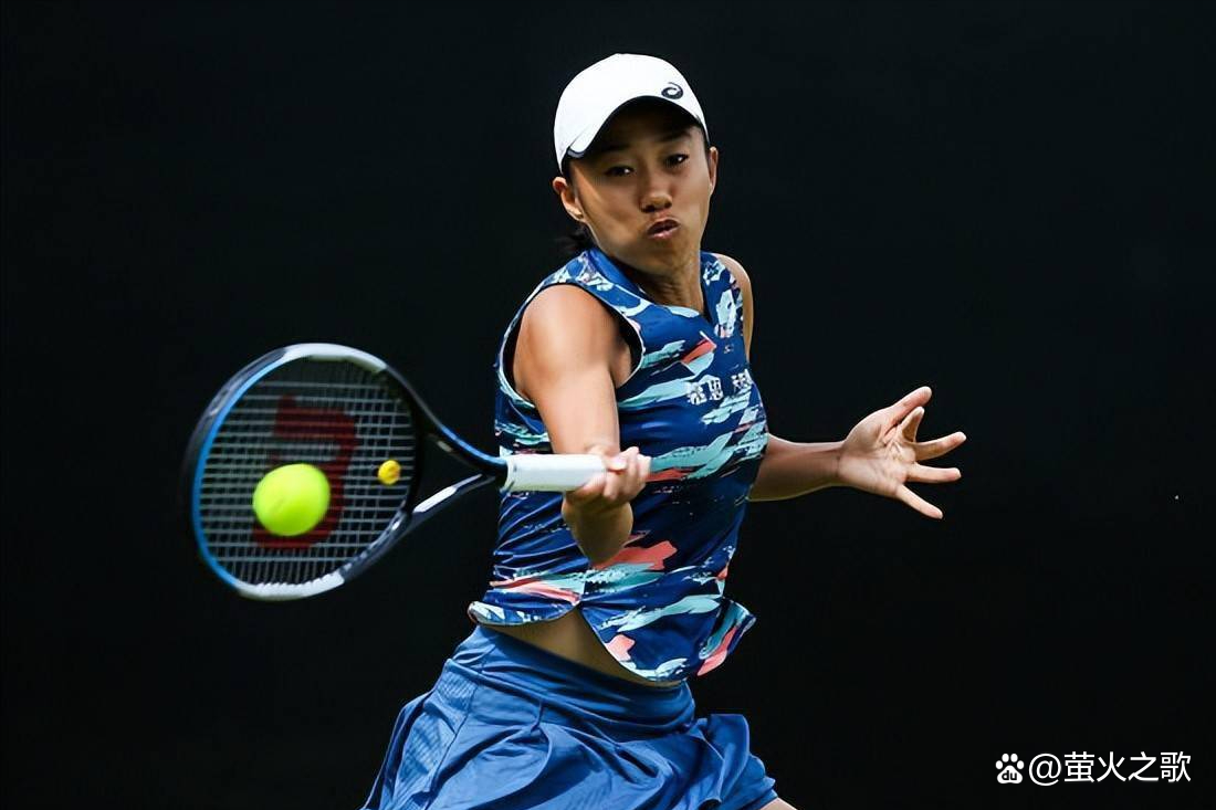 风格要求更 风格要求更