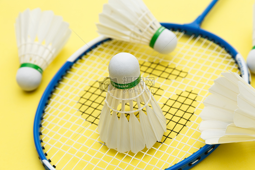 避免了因力 避免了因力